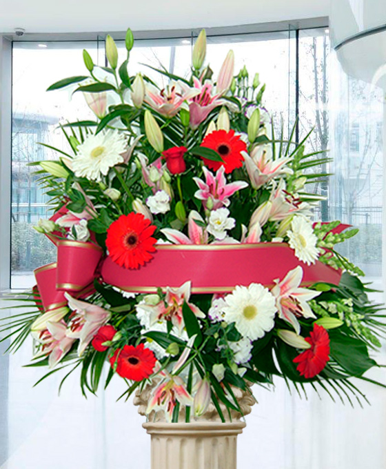 Centro piramidal Premium