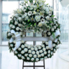 Corona Extra Clavel Blanco
