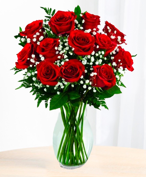 Enviar ramo de 12 rosas rojas a domicilio