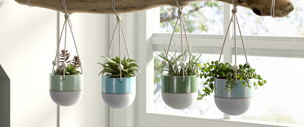 Plantas a domicilio